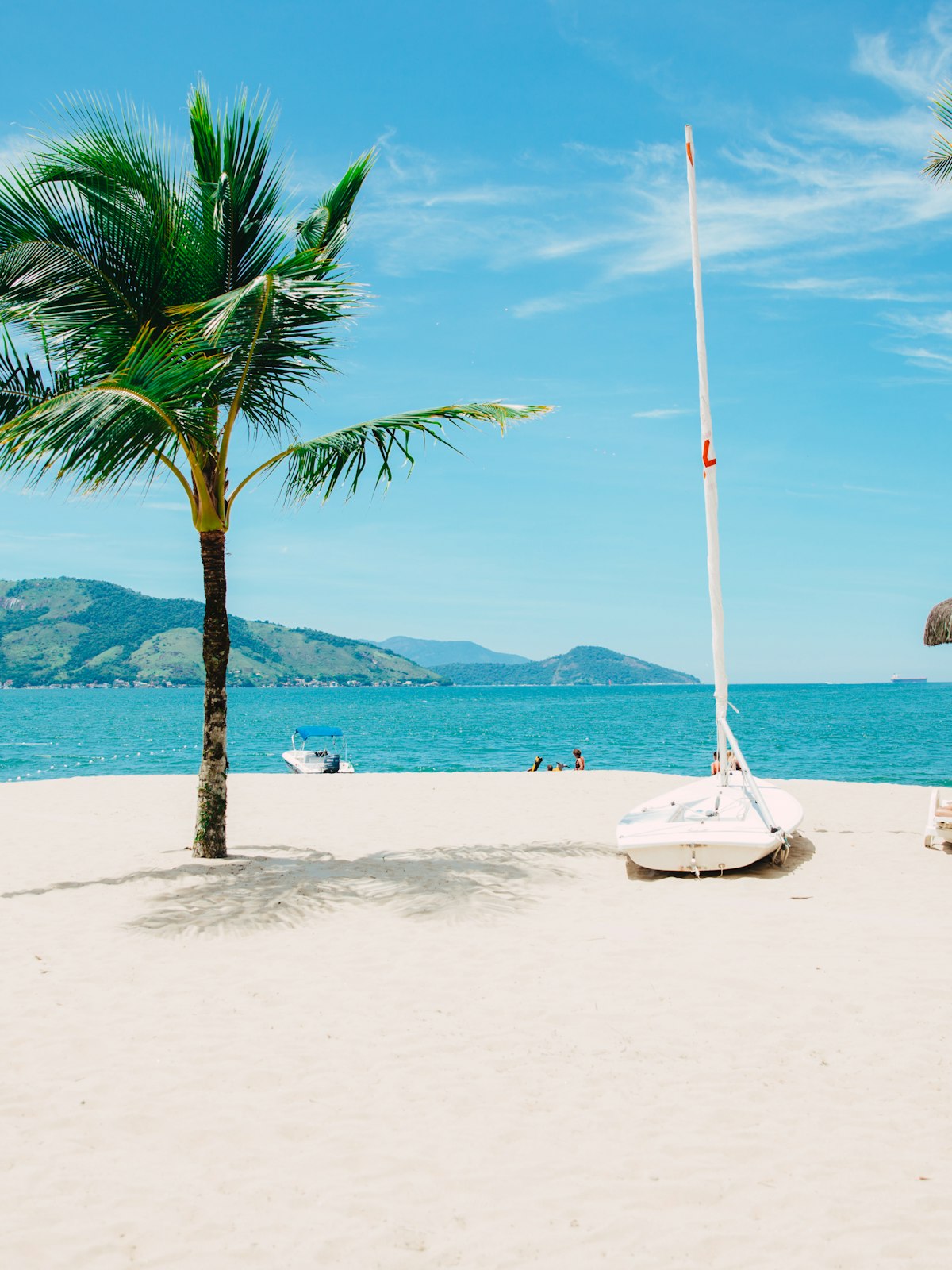 Palm-lined beach with turquoise water